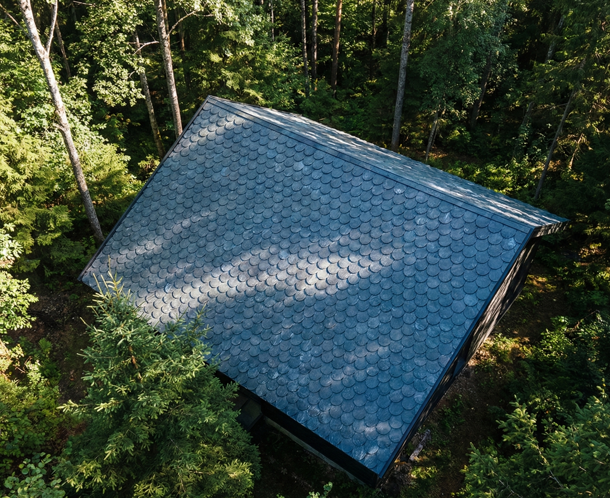 KASTON tiles installed - forest